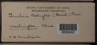 Image Associated With the Occurence